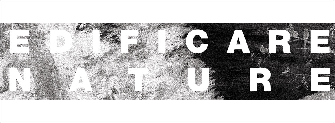 MOSTRA | EDIFICARE NATURE