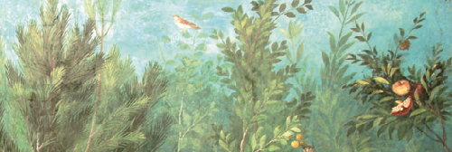 GIARDINI DI SAGGEZZA IN OCCIDENTE
