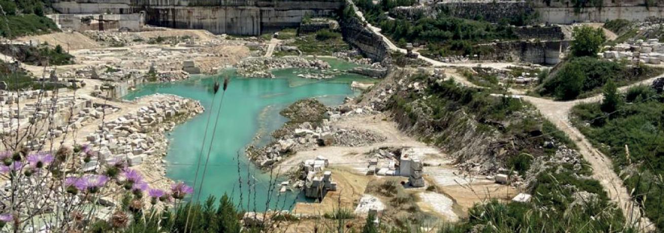 Workshop | Immergersi Nelle Ecologie Del Paesaggio